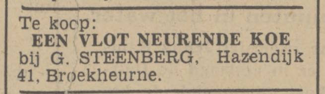 Hazendijk 41 Broekheurne G. Steernberg advertentie Tubantia 30-7-1938.jpg