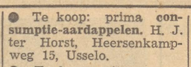 Heersenkampweg 15 Usselo H.J. ter Horst advertentie Tubantia 3-3-1960.jpg