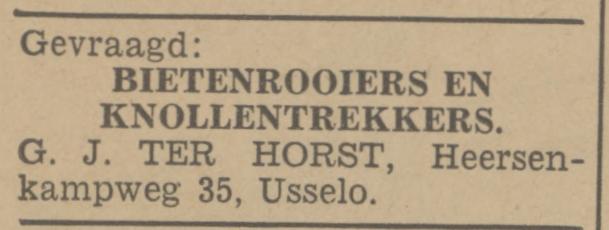 Heersenkampweg 35 Usselo G.J. ter Horst advertentie Tubantia 29-10-1941.jpg