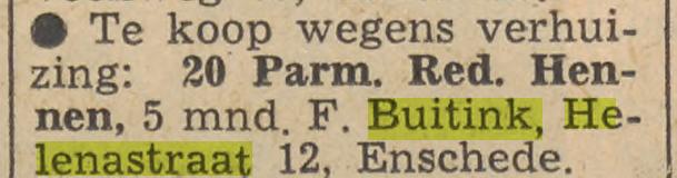 Helenastraat 12 F. Buitink advertentie Tubantia 20-6-1965.jpg