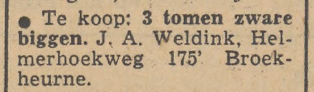Helmerhoekweg 175 Broekheurne J.A. Weldink advertentie Tubantia 5-3-1952.jpg