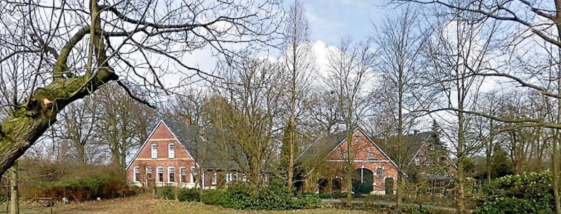 Helmerstraat-201-Hallehuis.jpg