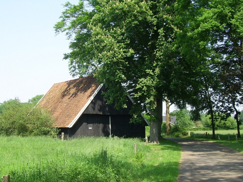 Helmerstraat 410 wissinks mol schuur..JPG