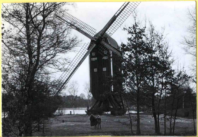 Stendermolenweg Zicht op Wissinks Möl in het Buurserzand ,Stenderkast. 1962.jpeg