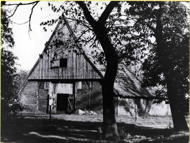 Helmerstraat 420 Schuur en achtergevel 17-8-1965.jpeg