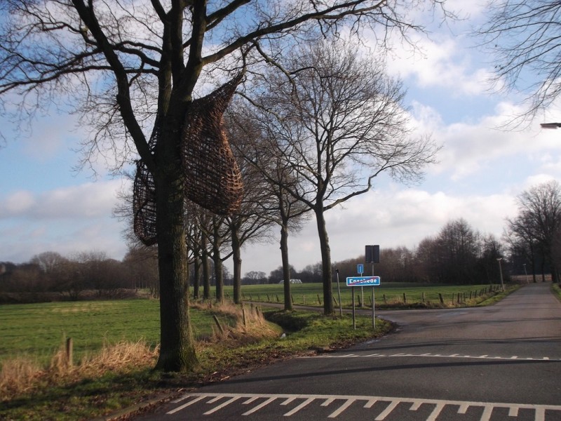 raad de plek.JPG