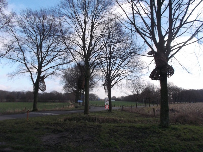 Heutinkstraat hoek Estafettestraat (3).JPG