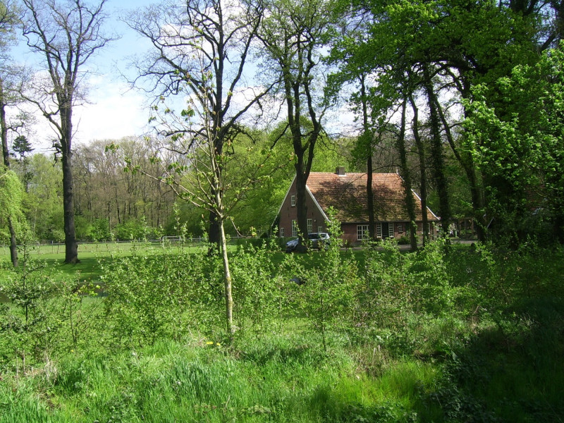 hengelosestraat 448.JPG