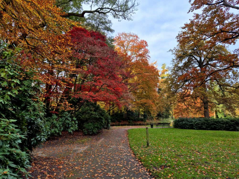 abraham ledeboerpark herfstwandeling 5-11-2025.jpeg