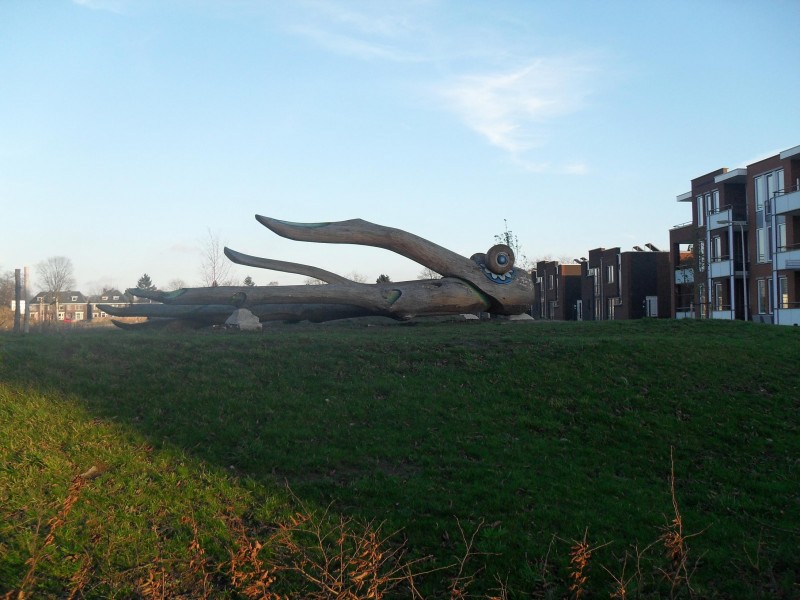 raadplek002.JPG