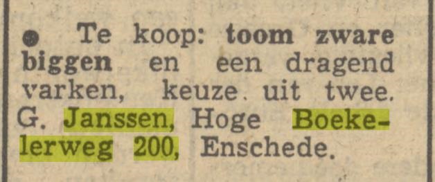 Hoge Boekelerweg 200 G. Janssen advertentie Tubantia 11-2-1950.jpg