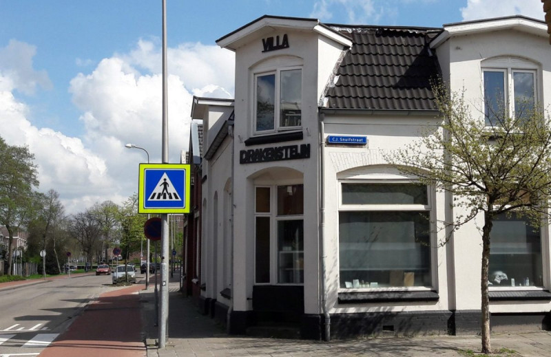 Hoge Bothofstraat 100 hoek C.J. Snuifstraat studentenhuis Villa Drakenstein.jpg