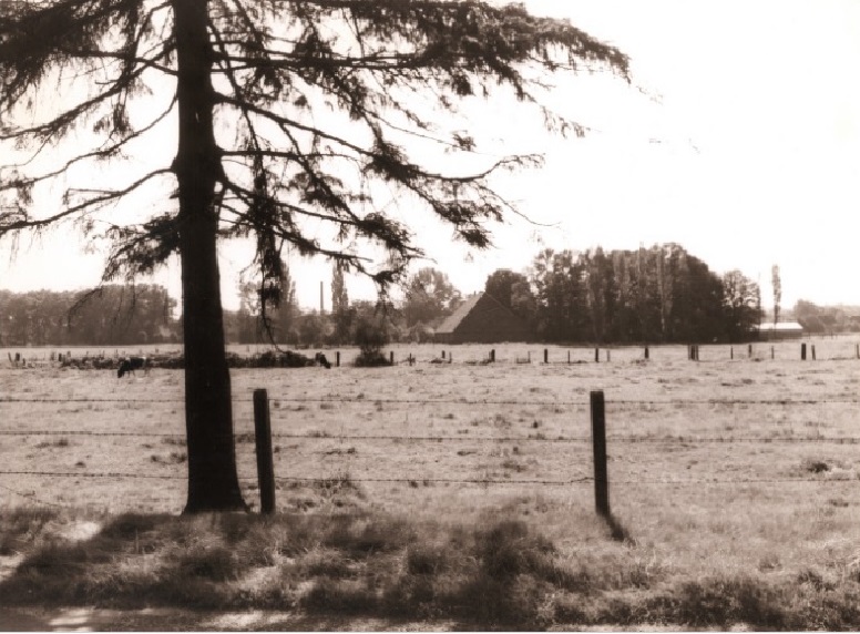 Horstlindeweg 129 Bolhaar in 1959. Elsmaatweg gezien vanaf de Horstlindeweg (later Horstlindelaan).jpg