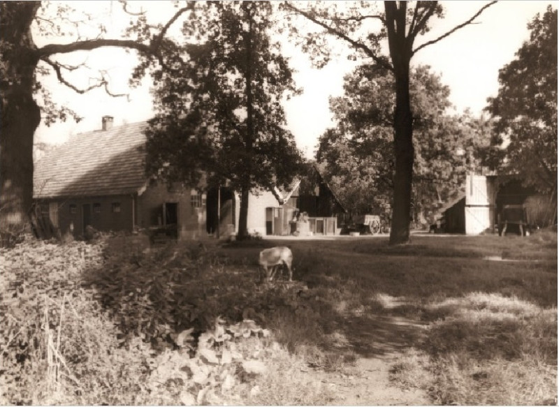 Horstlindeweg 129 Bolhaar in 1959. Boerderij Witbreuk. Ouderlijk huis van Gebr, Witbreuk Aannemersbedrijf.jpg