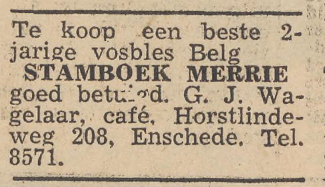 Horstlindeweg 208 G.J. Wagelaar advertentie Twentsche courant 15-9-1956.jpg