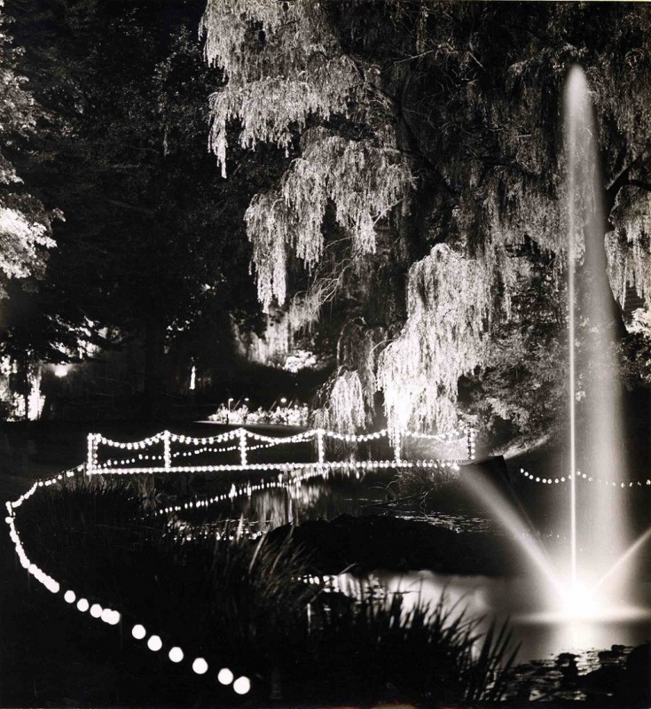 Volkspark mei 1949 Feestverlichting i.v.m. 75-jarig bestaan van het Volkspark.jpg