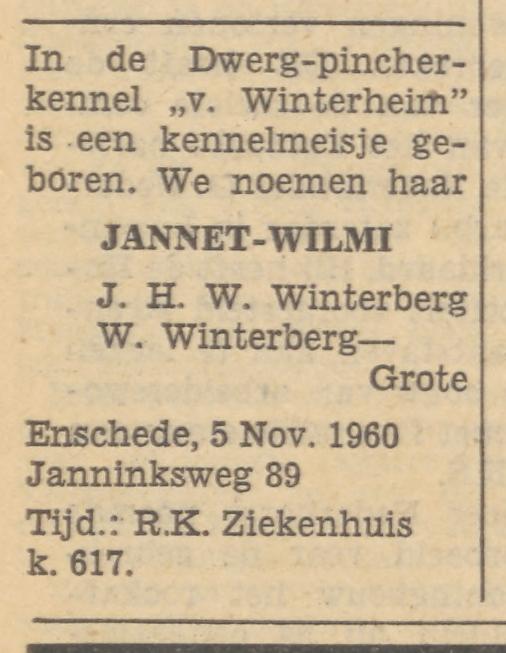 Janninksweg 89 J.H.W. Winterberg advertentie Tubantia 7-11-1960.jpg