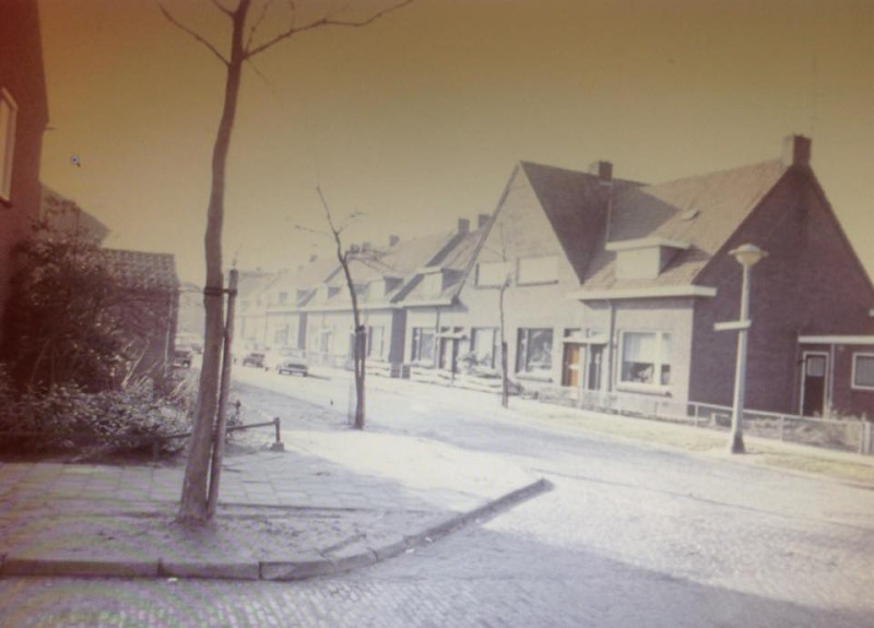 Jasmijnstraat 2-8 hoek Ribesstraat.jpg