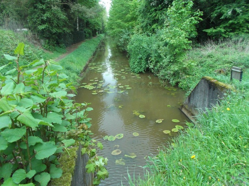 Jacobsrietweg Usselerstroom (2).JPG