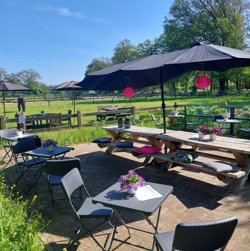Haaksbergerstraat 1000 Usselo Koffietuin mijn vrolijke taartjeshoek.jpg