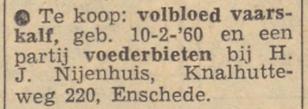 Knalhutteweg 220 H.J. Nijenhuis advertentie Tubantia 7-11-1960.jpg