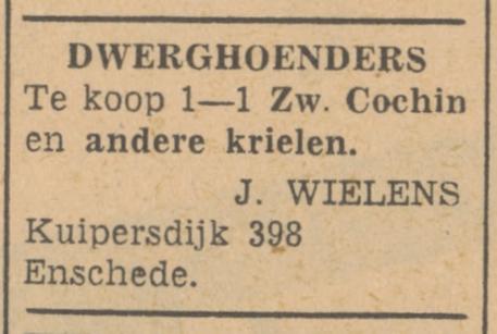 Kuipersdijk J. Wielens advertentie Tubantia 3-7-1948.jpg