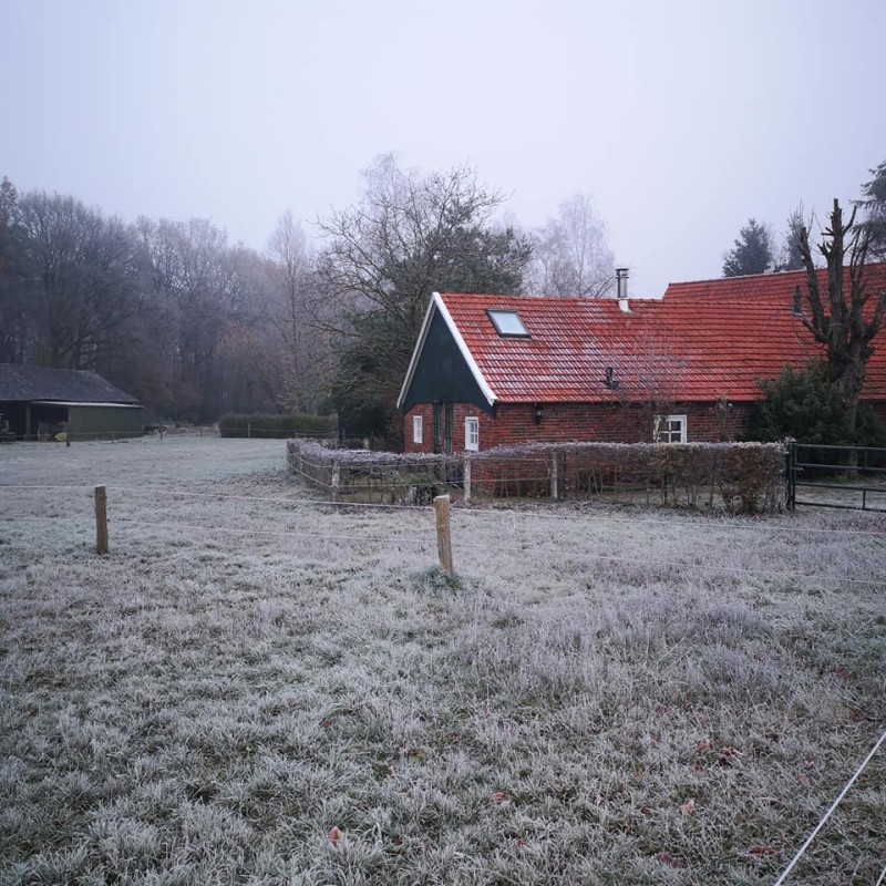 Kwekkeboomweg 135..jpg