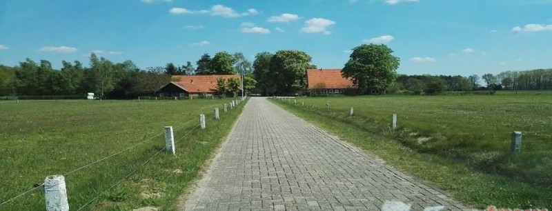 Kwekkeboomweg 135 Bed & Breakfast De Muske.jpg