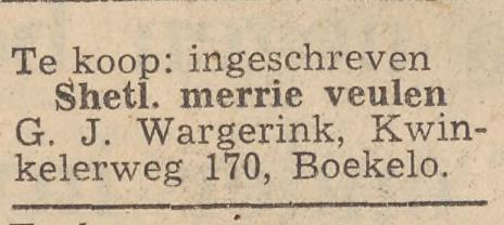 Kwinkelerweg 170 Boekelo G.J. Wargerink advertentie Twentsche courant 26-11-1954.jpg