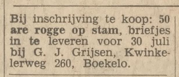 Kwinkelerweg 260 Boekelo G.J. Grijsen advertentie Tubantia 28-7-1966.jpg