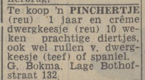 Lage Bothofstraat 132 G.Bokma advertentie Twents nieuwsblad 12-5-1944.jpg