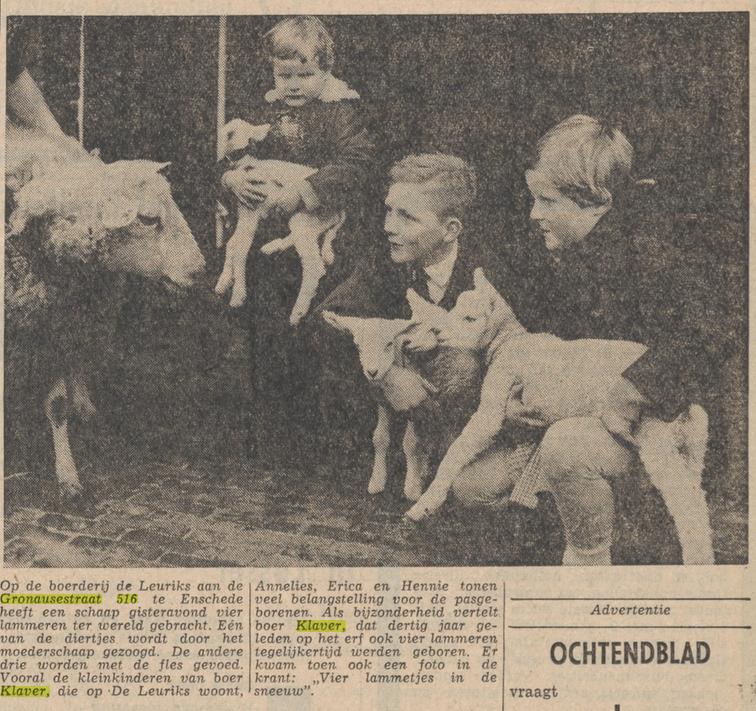Gronausestraat 516 boerderij De Leuriks boer Klaver krantenfoto Tubantia 20-3-1963.jpg
