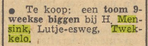 Lutje Esweg Twekkelo  H.Mensink advertentie Yubantia 5-4-1952.jpg