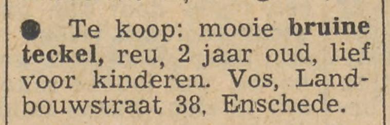 Landbouwstraat 38 Vos advertentie Tubantia 17-1-1956.jpg