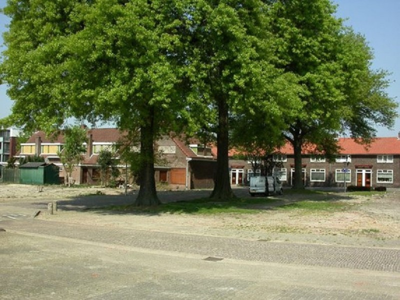 Leliestraat 89 vanaf Papaverstraat met 3 moeraseikenbomen.jpg