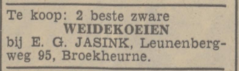 Leunenbergweg 95 Broekheurne E.G.Jasink advertentie Tubantia 9-3-1938.jpg