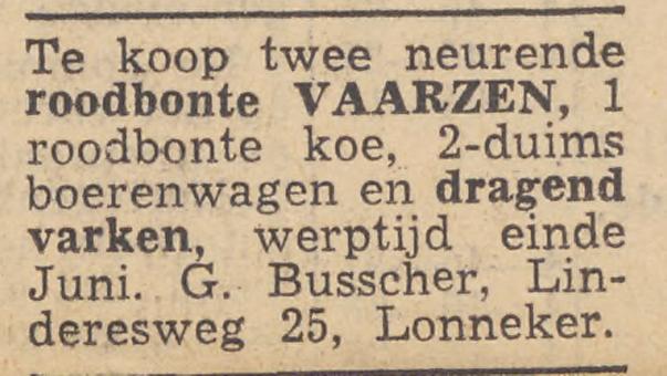 Linderesweg 25 Lonneker G.Busscher advertentie Twentsche courant 18-6-1952.jpg