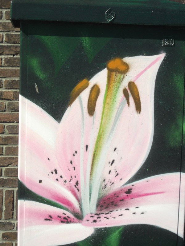 raad de plek.JPG