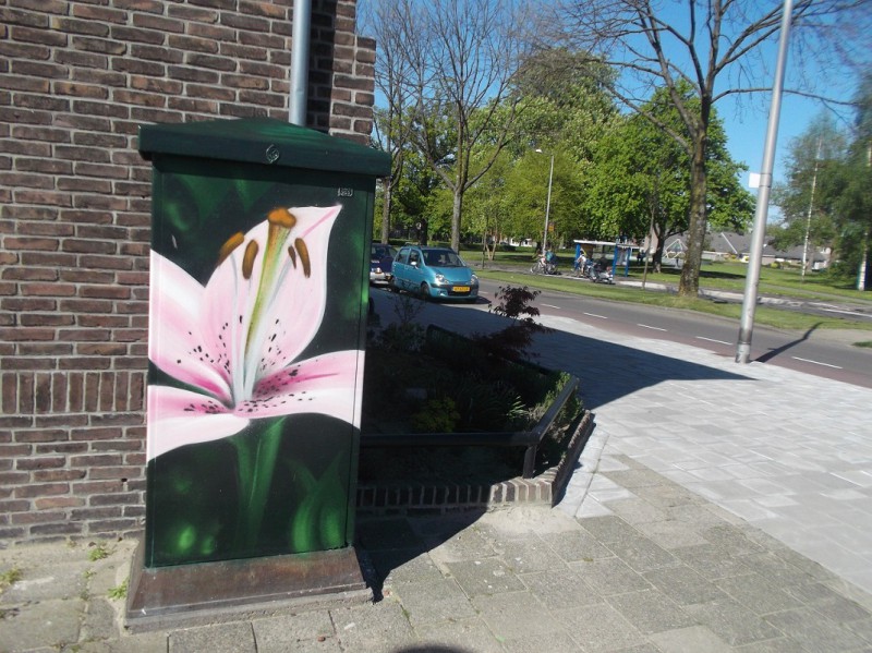 Leliestraat hoek Laaressingel (2).JPG