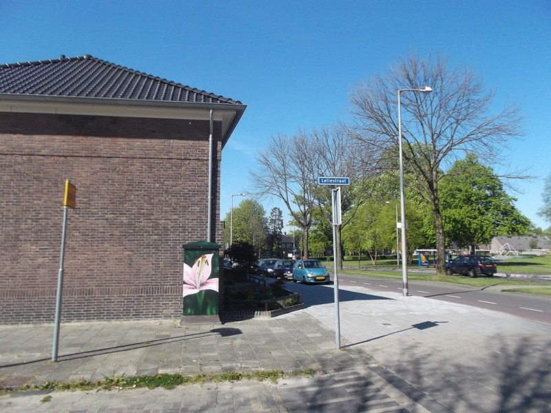 Leliestraat hoek Laaressingel.JPG