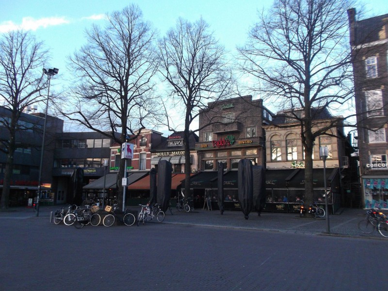 Oude Markt Molly Malone Paddy's.JPG