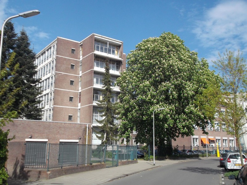 Emmastraat MST nu.JPG