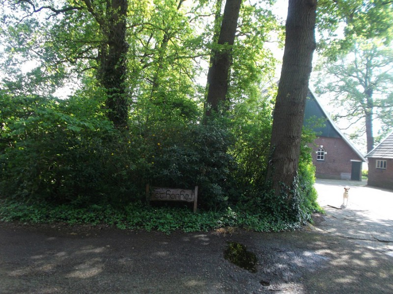 raadfoto (2).JPG