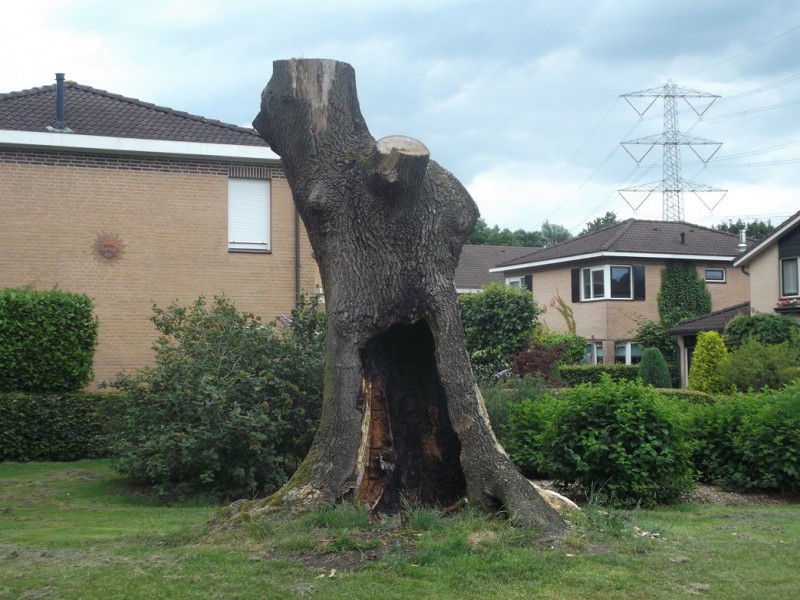 raad de plek.JPG
