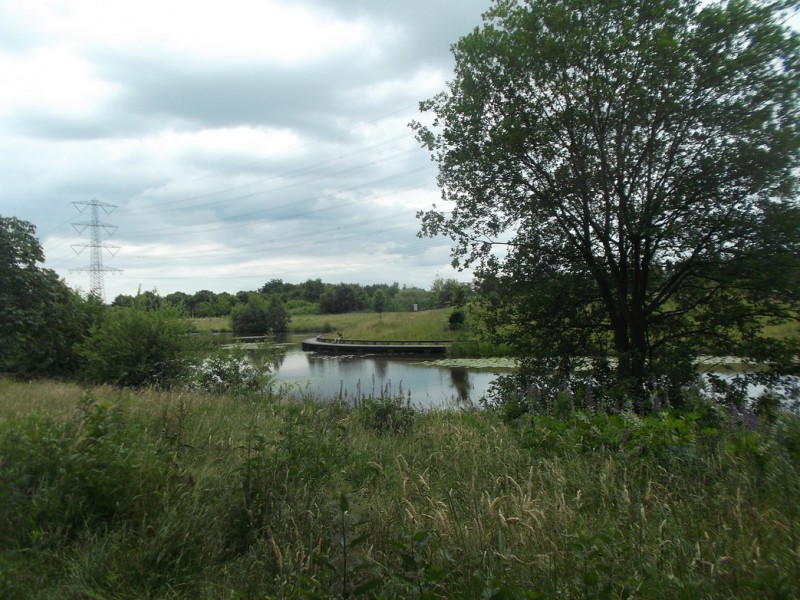raad de plek (5).JPG