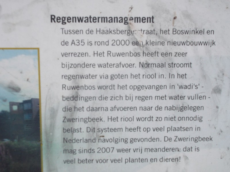 Ruwenbos.JPG