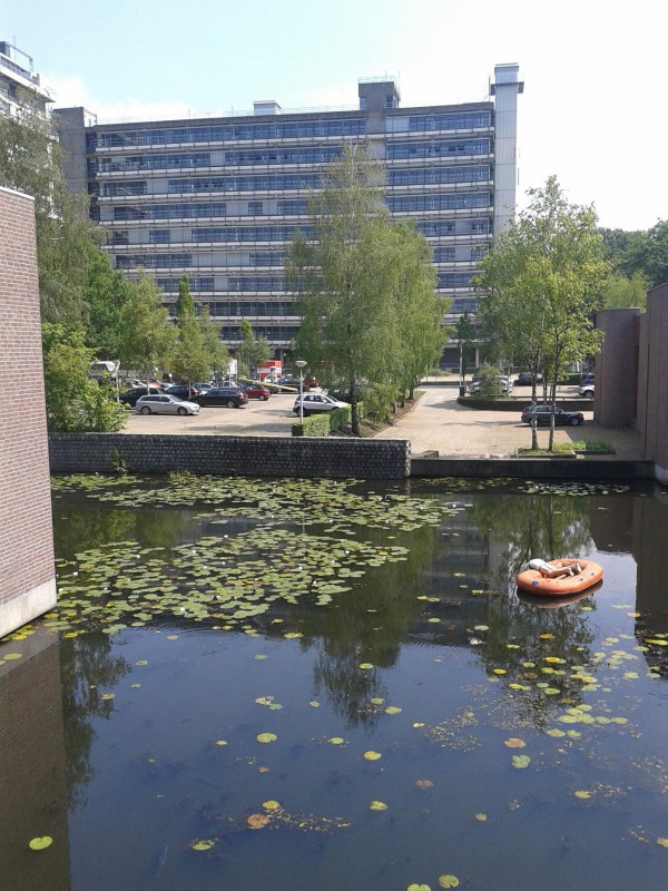 raadplek vijver vrijhof.JPG
