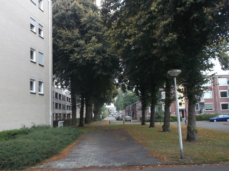 raad de plek.JPG