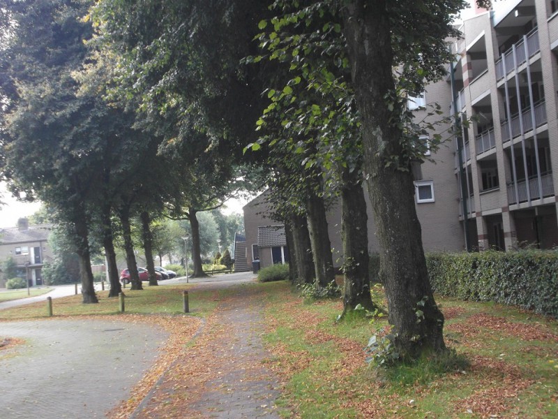 raad de plek (2).JPG