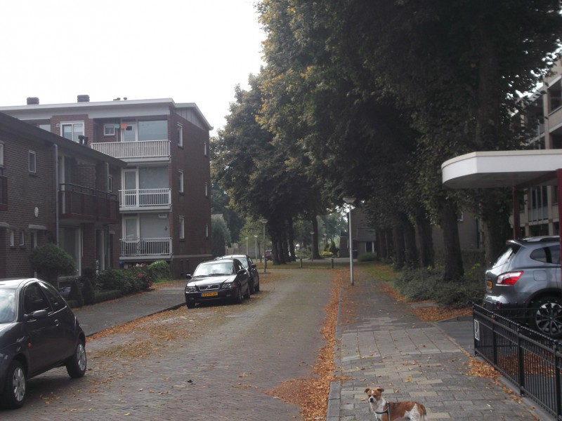 Adriaen van Ostadestraat (4).JPG